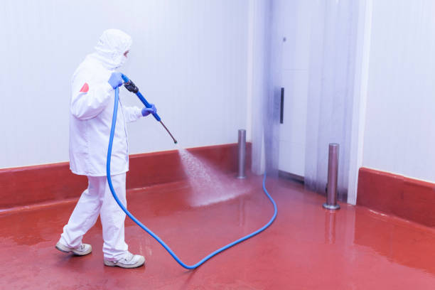 Best Driveway Pressure Washing  in Lower Lake, CA